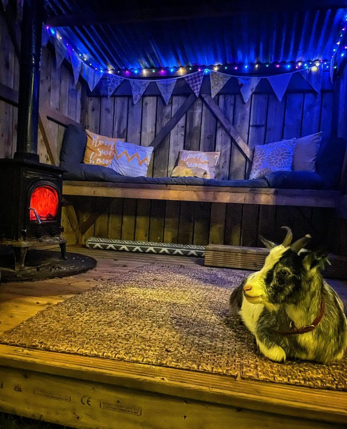Отель North Yorkshire Horse Box Экстерьер фото