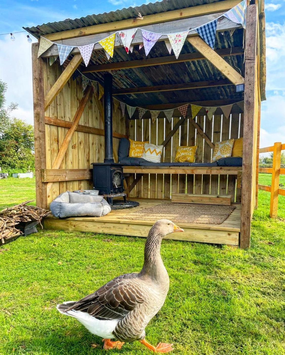 Отель North Yorkshire Horse Box Экстерьер фото